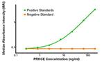 PRKCE Antibody in ELISA (ELISA)