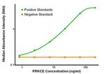 PRKCE Antibody in ELISA (ELISA)