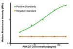 PRKCE Antibody in ELISA (ELISA)