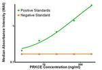 PRKCE Antibody in ELISA (ELISA)