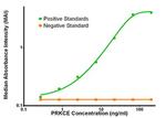 PRKCE Antibody in ELISA (ELISA)