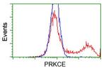 PRKCE Antibody in Flow Cytometry (Flow)