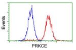 PRKCE Antibody in Flow Cytometry (Flow)