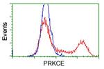 PRKCE Antibody in Flow Cytometry (Flow)