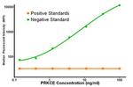 PRKCE Antibody in Luminex (LUM)