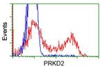 PRKD2 Antibody in Flow Cytometry (Flow)