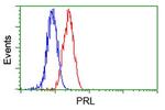 PRL Antibody in Flow Cytometry (Flow)