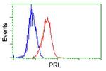 PRL Antibody in Flow Cytometry (Flow)