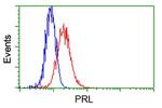 PRL Antibody in Flow Cytometry (Flow)