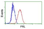 PRL Antibody in Flow Cytometry (Flow)