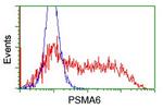 PSMA6 Antibody in Flow Cytometry (Flow)