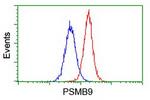 PSMB9 Antibody in Flow Cytometry (Flow)