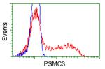 PSMC3 Antibody in Flow Cytometry (Flow)