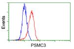 PSMC3 Antibody in Flow Cytometry (Flow)