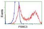 PSMC3 Antibody in Flow Cytometry (Flow)