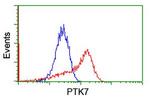 PTK7 Antibody in Flow Cytometry (Flow)