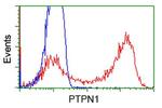 PTPN1 Antibody in Flow Cytometry (Flow)