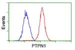 PTPN1 Antibody in Flow Cytometry (Flow)