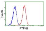 PTPN1 Antibody in Flow Cytometry (Flow)