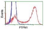 PTPN1 Antibody in Flow Cytometry (Flow)