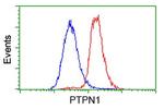 PTPN1 Antibody in Flow Cytometry (Flow)