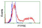 PTPRE Antibody in Flow Cytometry (Flow)