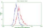 PTPRE Antibody in Flow Cytometry (Flow)