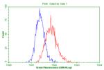 PTPRE Antibody in Flow Cytometry (Flow)