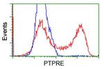 PTPRE Antibody in Flow Cytometry (Flow)