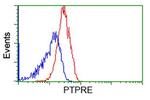 PTPRE Antibody in Flow Cytometry (Flow)