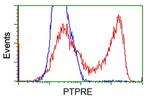 PTPRE Antibody in Flow Cytometry (Flow)