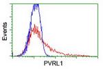 PVRL1 Antibody in Flow Cytometry (Flow)