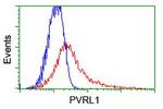 PVRL1 Antibody in Flow Cytometry (Flow)