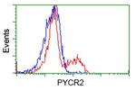 PYCR2 Antibody in Flow Cytometry (Flow)