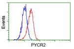 PYCR2 Antibody in Flow Cytometry (Flow)