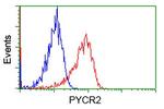 PYCR2 Antibody in Flow Cytometry (Flow)