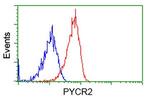 PYCR2 Antibody in Flow Cytometry (Flow)