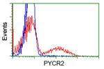 PYCR2 Antibody in Flow Cytometry (Flow)