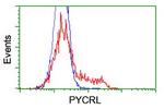 PYCRL Antibody in Flow Cytometry (Flow)