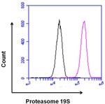 PSMD3 Antibody in Flow Cytometry (Flow)