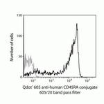 CD45RA Antibody in Flow Cytometry (Flow)