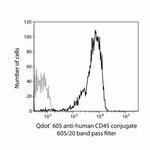 CD45 Antibody in Flow Cytometry (Flow)