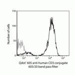 CD3e Antibody in Flow Cytometry (Flow)