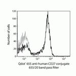 CD27 Antibody in Flow Cytometry (Flow)