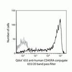 CD45RA Antibody in Flow Cytometry (Flow)