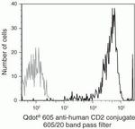 CD2 Antibody in Flow Cytometry (Flow)