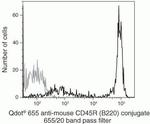 CD45R Antibody in Flow Cytometry (Flow)