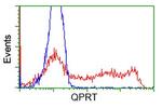 QPRT Antibody in Flow Cytometry (Flow)