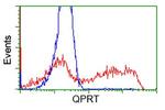 QPRT Antibody in Flow Cytometry (Flow)