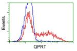 QPRT Antibody in Flow Cytometry (Flow)